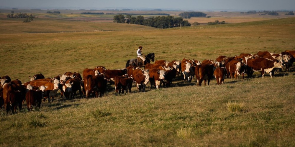 Monitor do PIB aponta crescimento de 3% da economia em 2023