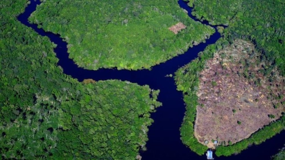 Desmatamento na Amazônia cai 60% em janeiro de 2024