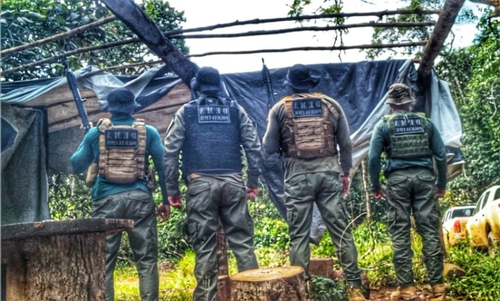 Polícia Civil fecha madeireira em continuidade a operação de combate ao desmate ilegal em Nova Maringá
