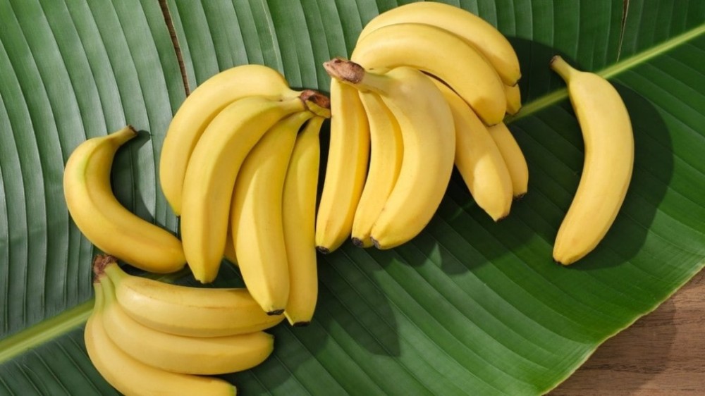 Qual a melhor banana para a saúde? Saiba qual fruta escolher