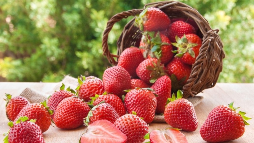 6 curiosidades sobre o morango que você não sabia