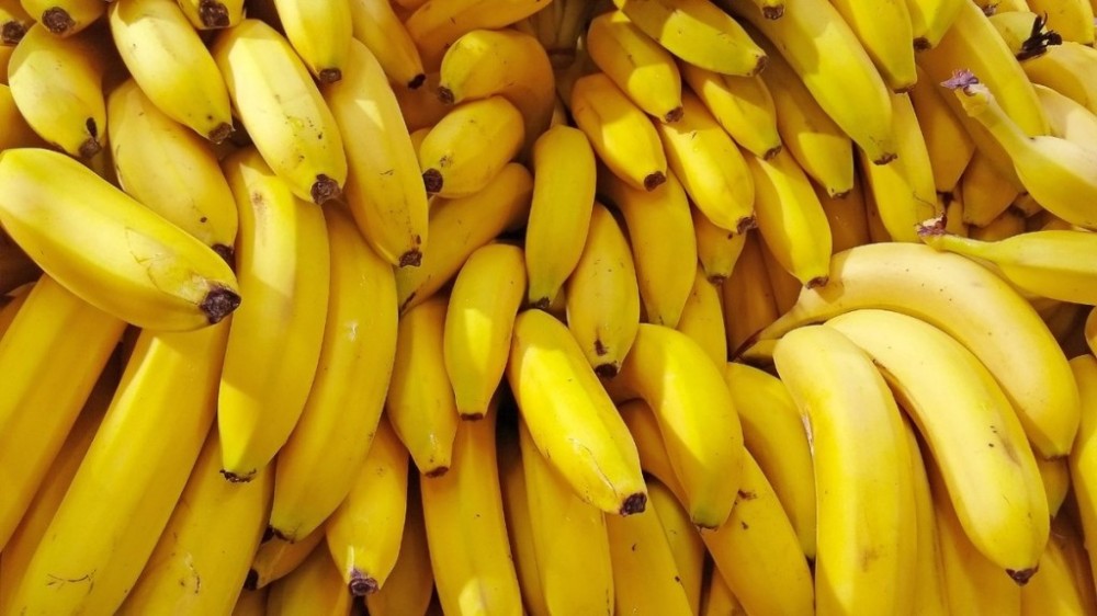 Você comeu banana errado a vida inteira! Aprenda o jeito certo para aproveitar todos os benefícios da fruta