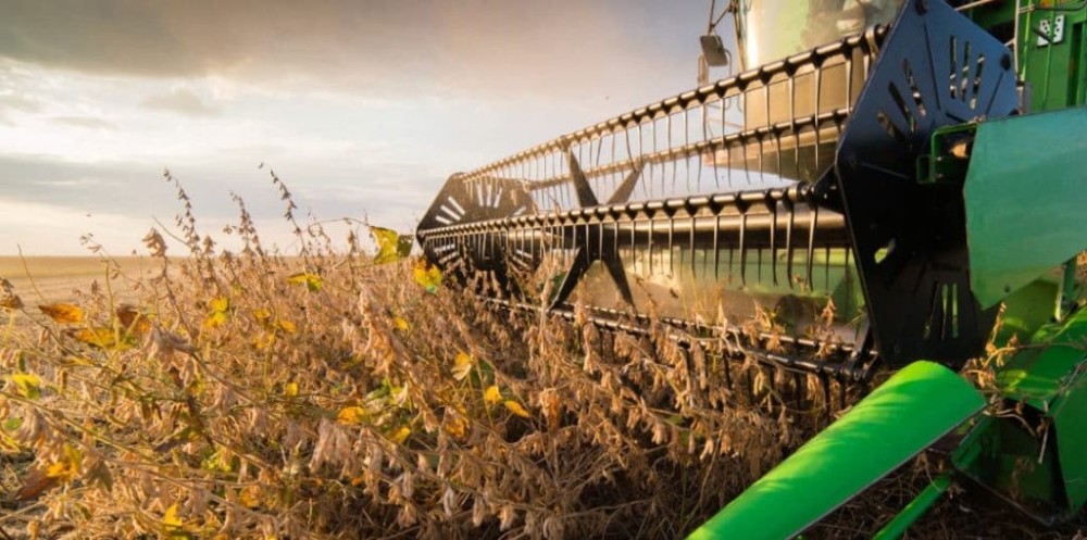 Presidente do IA destaca o sucesso do setor, neste Dia Mundial da Agricultura