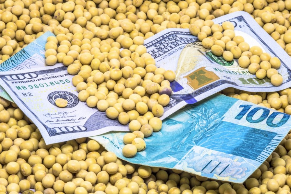 Brasil domina mercado de milho e soja na China, consolidando liderança como gigante do agronegócio