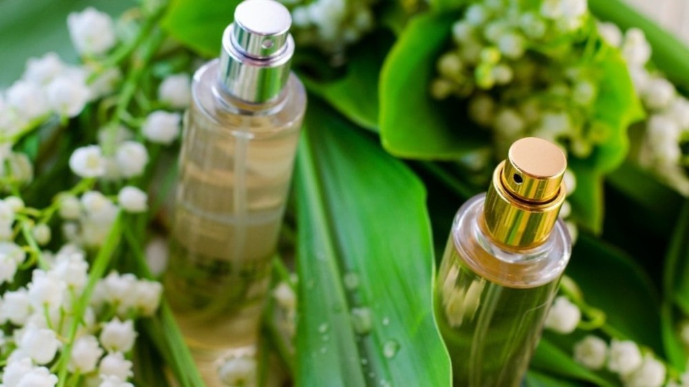 Entenda qual a diferença entre body splash e body spray