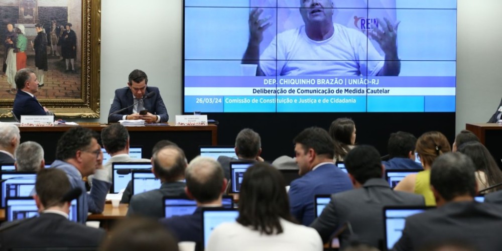 Entenda o pedido de vista que adiou análise da prisão de deputao