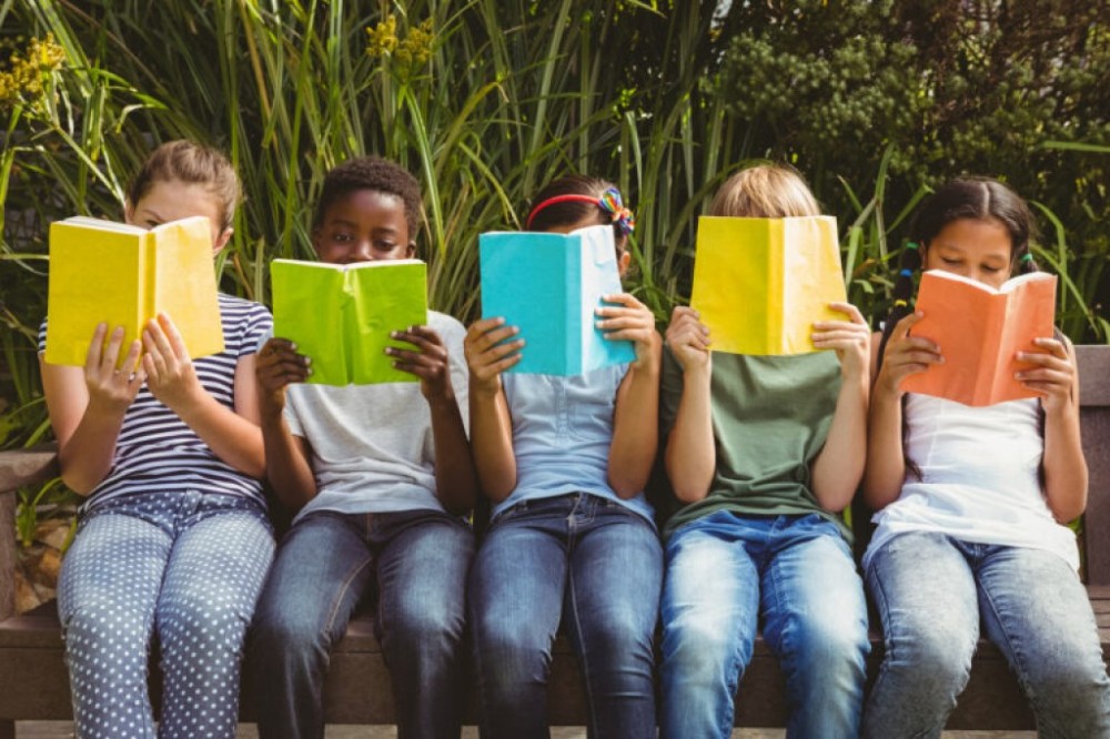 Comissão debate necessidade de fomentar o Plano Nacional do Livro e Leitura