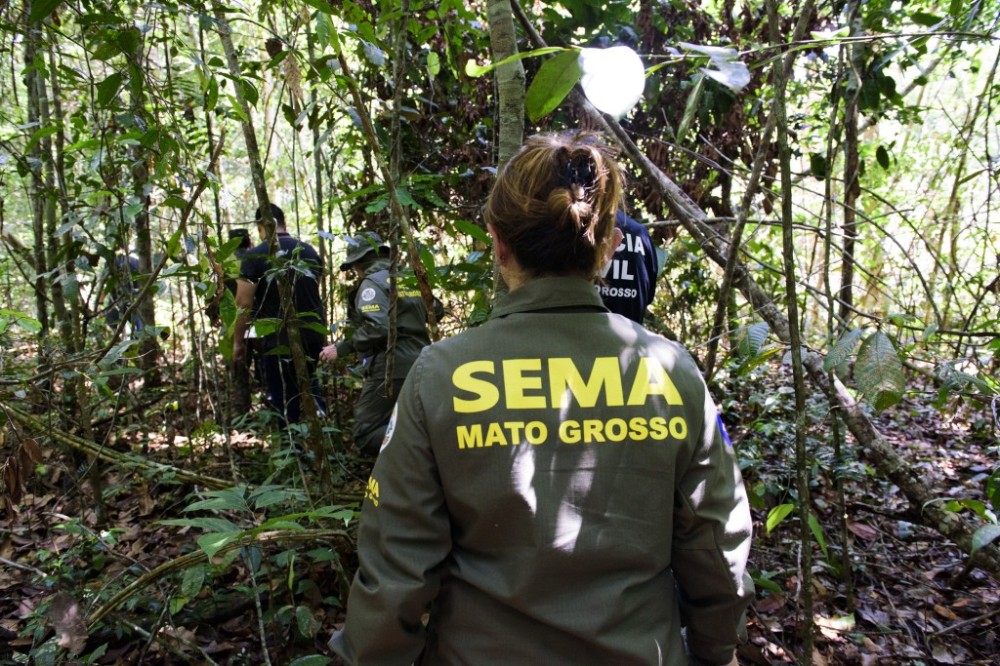 Governo de MT já aplicou R$ 303 milhões em multas por crimes ambientais em 2024