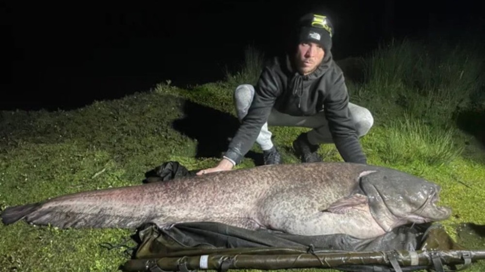 Pescador encontra peixe-gato de 64 kg em lago na Inglaterra