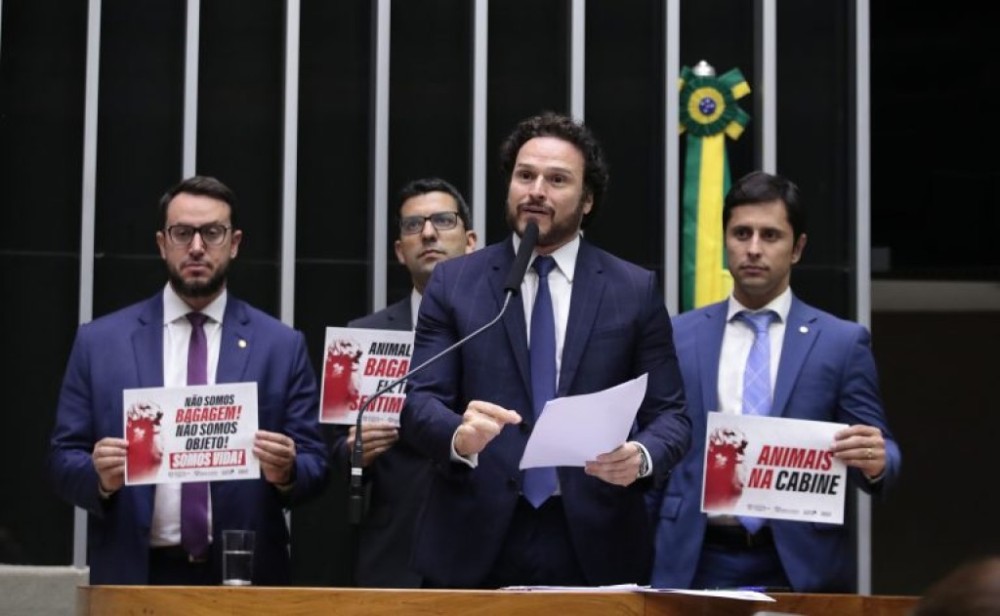 Câmara aprova oferta de transporte de animais domésticos nas cabines de aviões