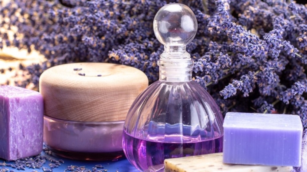 5 perfumes de lavanda que vão deixar você apaixonada