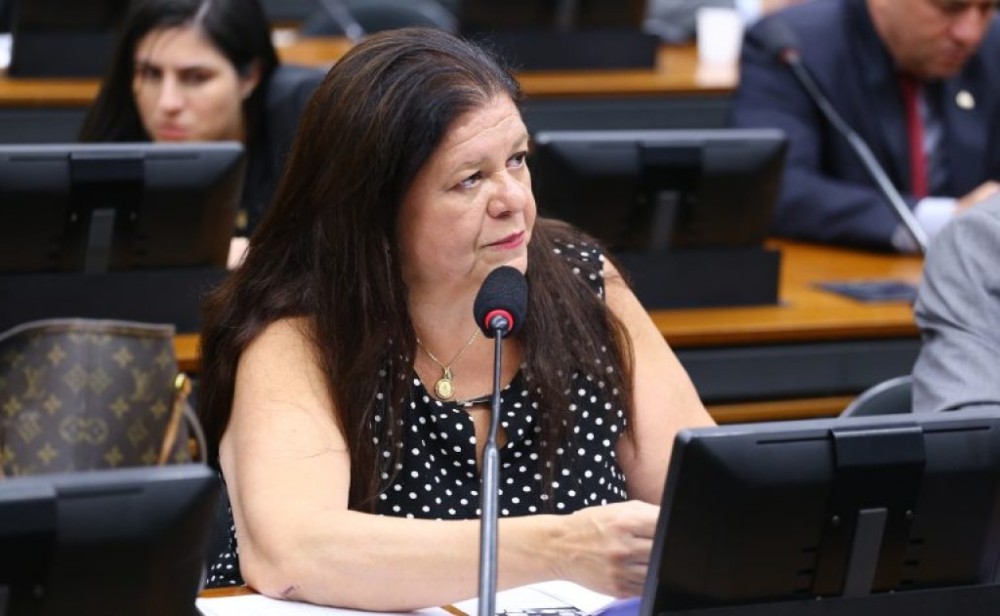 Projeto aprovado regulamenta aplicação de prova em segunda chamada para gestante em concurso público