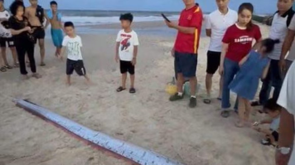 Peixe-remo que pode 'prever desastres' é encontrado em praia do Vietnã