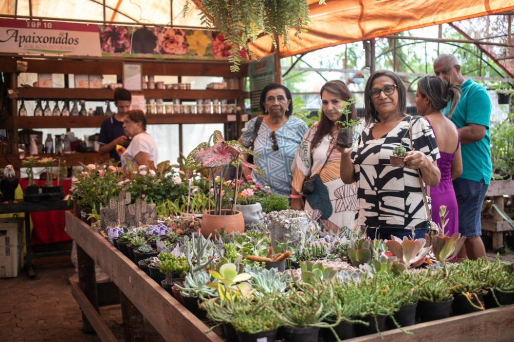 8º Festival de Orquídeas e Flores no Shopping Orla entre os dias 11 e 15 de junho
