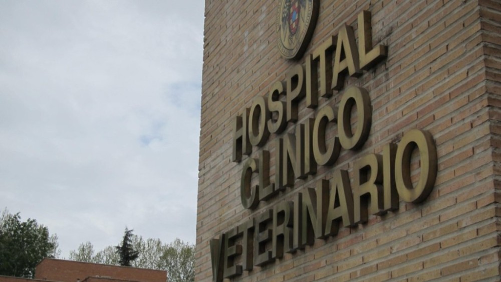 Homem é preso por abusar de cabra em hospital veterinário na Espanha