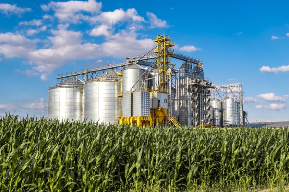 Nova medida provisória do governo aumenta tributos e paralisa setor agroindustrial