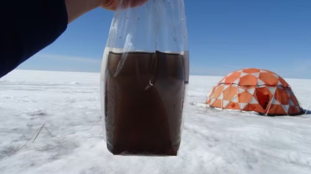 Descoberta de vírus enormes em gelo pode afetar derretimento no Ártico