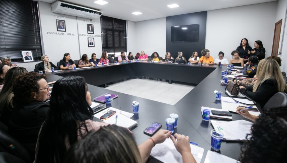 Secretaria da Mulher reúne 13 instituições em caráter emergencial para debater medidas contra feminicídios
