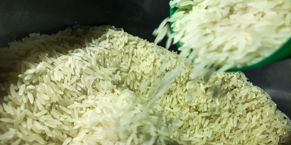 Federarroz: país não tem como produzir e vender quilo do cereal a R$ 4