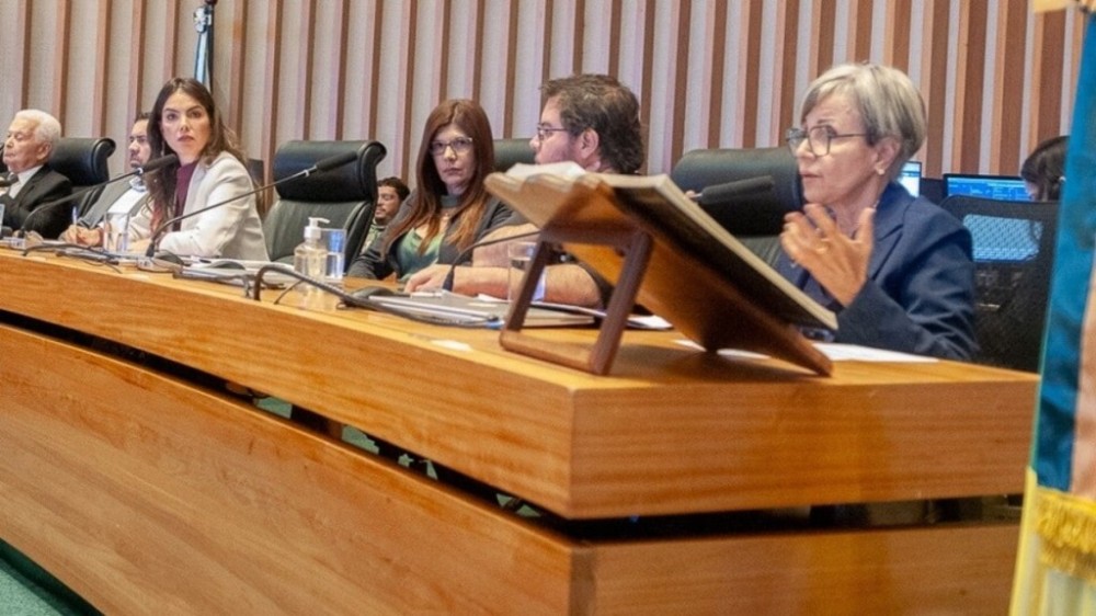 Ex-presidente do Instituto Histórico e Geográfico, Vera Ramos adverte para riscos do PPCub