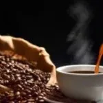 Brasil exporta 31,8 milhões de sacas de café e fatura R$ 41 bilhões em 2024