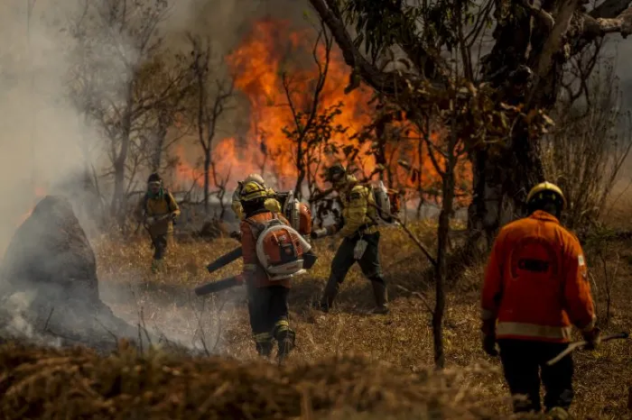 Medida provisória facilita repasses financeiros a estados para combater incêndios O reforço no repasse de recursos era uma providência pedida pelos deputados